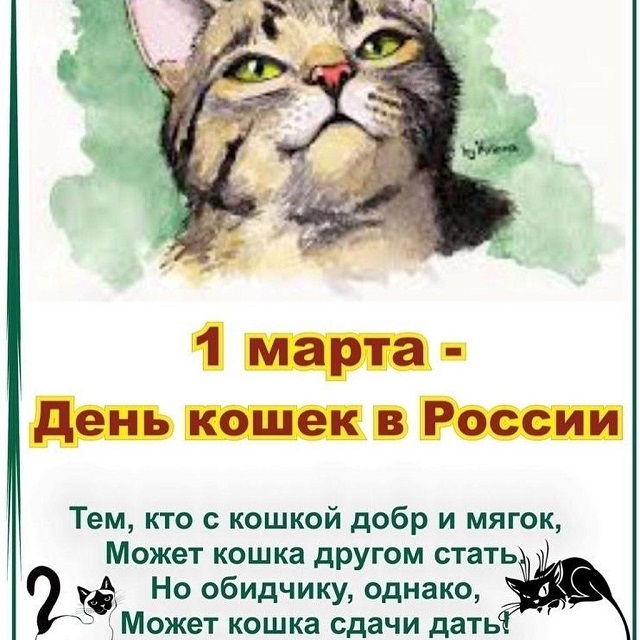 foto 05 03 2022 10 19 1