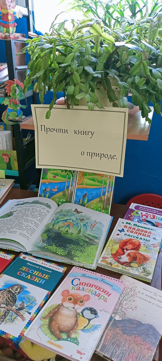 foto 2024 06 06 14 14 001